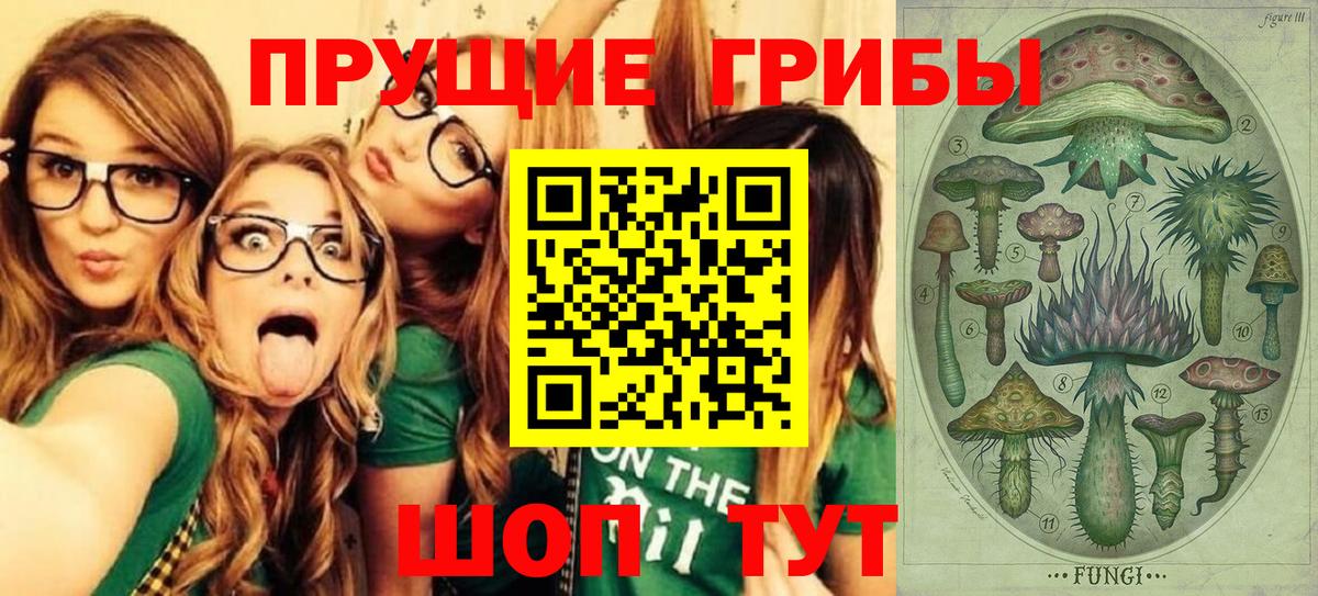 хочу наркоту  Вход с VPN  Сургут  Галлюциногенные грибы Psilocybine cubensis  Псилоцибиновые грибы Cubensis 