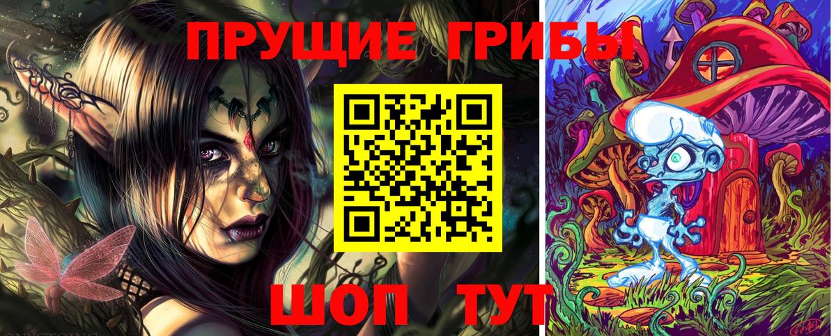 Галлюциногенные грибы Cubensis Сургут